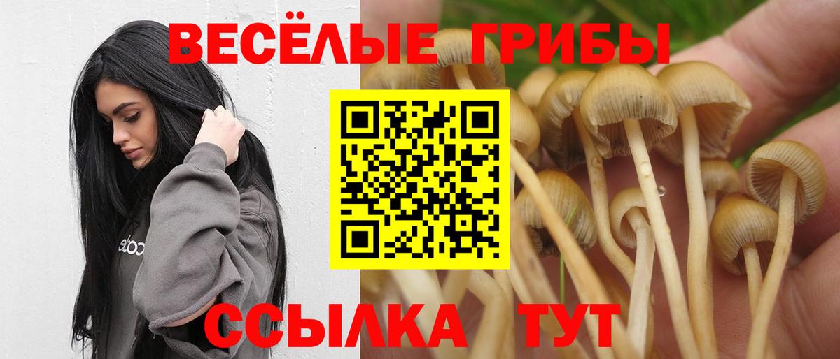 Кумертау  Галлюциногенные грибы прущие грибы  Вход с VPN 